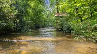 Creekside Escape with Firepit and Fishing - Charming Cozy Retreat Hotels in White County
