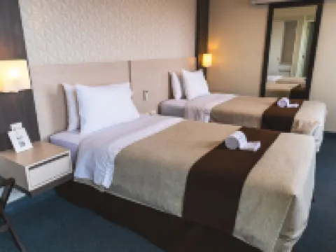 聖米格爾帕爾梅託商務酒店 聖米格爾酒店