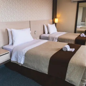 Palmetto Hotel Business San Miguel