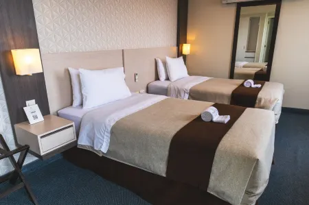 Palmetto Hotel Business San Miguel