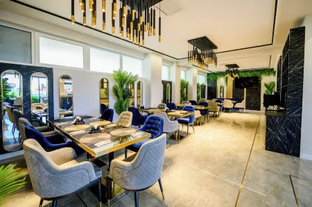 Elitte Inn & Suites Отели в г. Chiajna