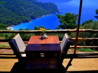 Olive Garden Kabak Hotels in Uzunyurt Mahallesi