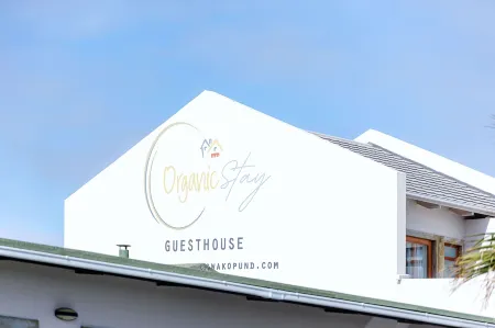 Organic Stay Guesthouse