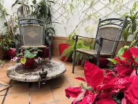 Un Patio Al Sur