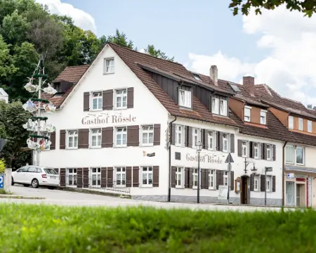 Hotel Gasthof Rössle Hotels in Weingarten