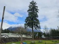 Mountain View Hope Motel Hotels in Hope