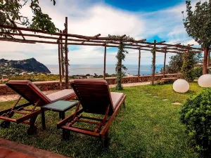 Tenuta Del Poggio Antico