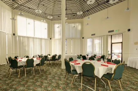 Miracle Springs Resort and Spa Отели рядом с достопримечательностью «Ту Банч Палмс Элементари Скул»