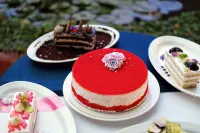 Celebrity Resort - Breakfast