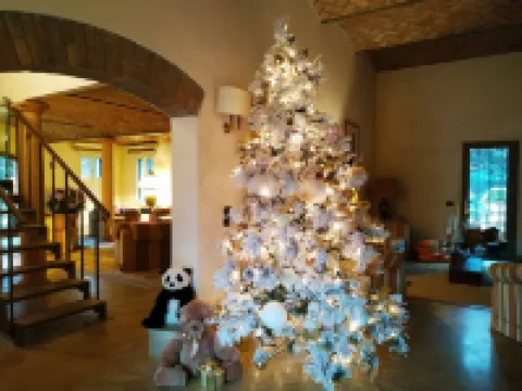 B&B Villa Delle Palme Hotels in Carpi