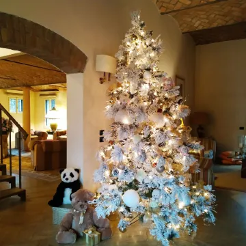 B&B Villa Delle Palme