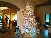 B&B Villa Delle Palme Hotels in Mirandola