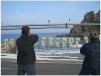 Marubun the Seaside Inn Hotels in Iwami