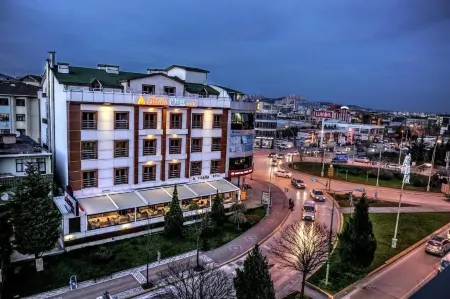 Teona Hotel Отели в г. Измит