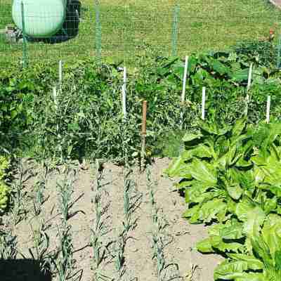 樂瑞拉斯旅館 Hotel Exterior