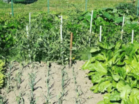 Auberge le Relais Hotels in Bouillon