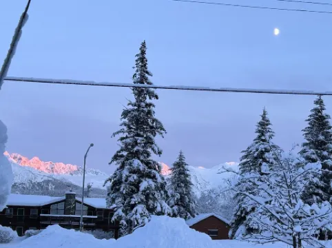 Cozy Seward Cottage: Amazing Location in the middle of town. Pet-Friendly!