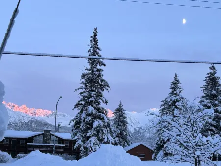 Cozy Seward Cottage: Amazing Location in the middle of town. Pet-Friendly!