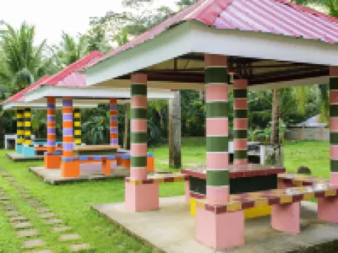 自由生態冒險公園由 Cocotel 提供 波克酒店