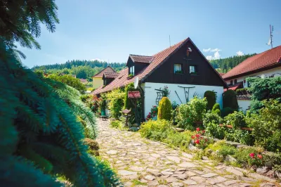 Pension Regina Hotels in 