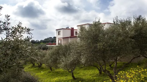 Foivos and Athina Villas Hotels in Archanes