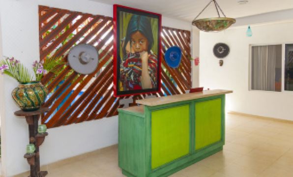 Mestizo Gallery