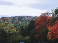 Sturbridge Country Inn