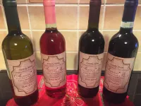 阿爾貝格帕裏吉酒店