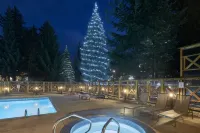 Delta Hotels Whistler Village Suites - Hot Tub