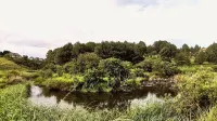 Otters Den