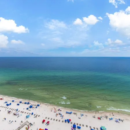 The Oasis at Orange Beach