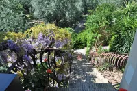 Dinky Home Air-conditioned Penthouse With sea View Terrace