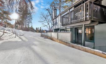 Switzerland Slopes #2125