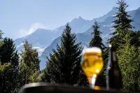Hotel Allalin Saas-Fee - Mountain view
