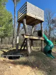 Little Valley private log cabin in the woods by Lake Petenwell