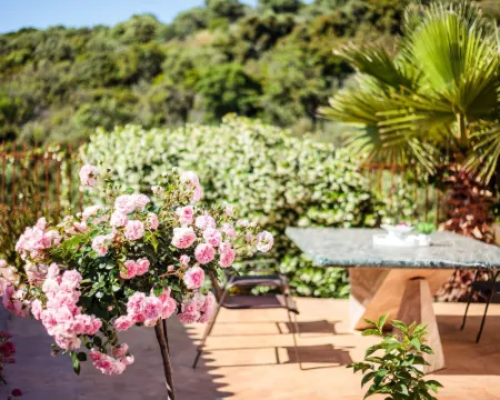 Armonia by the Sea - Majestic Seaside Retreat Hotels in Petalidi