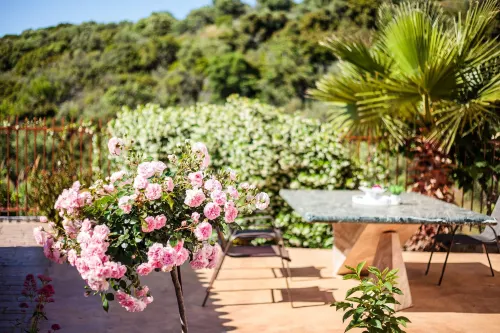 Armonia by the Sea - Majestic Seaside Retreat