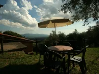 Fattoria Gambaro di Petrognano Hotels in Capannori