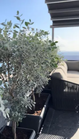 Ansel Home Отели рядом с достопримечательностью «Mango Beach»