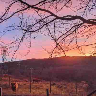 Studio Cottage Tummel Valley Others