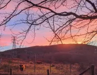 Studio Cottage Tummel Valley