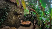 Cerro Tusa Springs