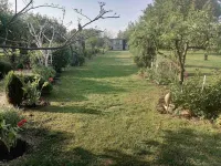 Holiday Home Paunovaca Hotels in 