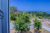 The Hamilton's Nature Villa