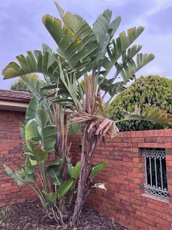 Apple House Hoppers Crossing Отели в г. Cobblebank