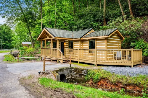 2bdrm Cabin 4 Gburg Pet Friendly Firepit Games - 4-Star