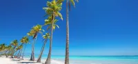 Cap Cana Luxury 2 bedroom and 2 bath condo, Pool, near Juanillo beach, Golf Hôtels à : 