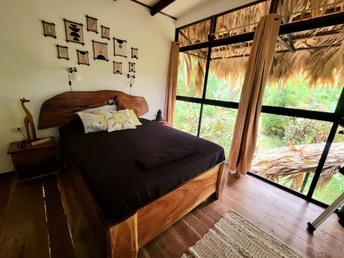 TreeTop Mansion, where the jungle meets the sea!