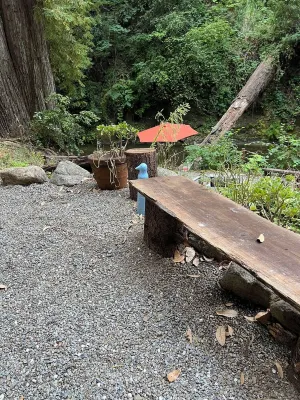 Cozy Creekside Cabin in Santa Cruz Mountains 브롬머 스트리트 카운티 공원 주변 호텔