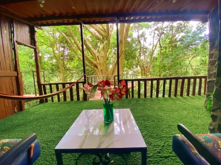 Ficus Wonders Bus. A Journey Through Nature